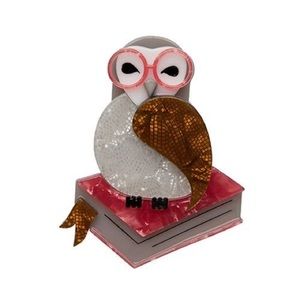 Erstwilder Studious Snow Owl Brooch Rare Harry Potter